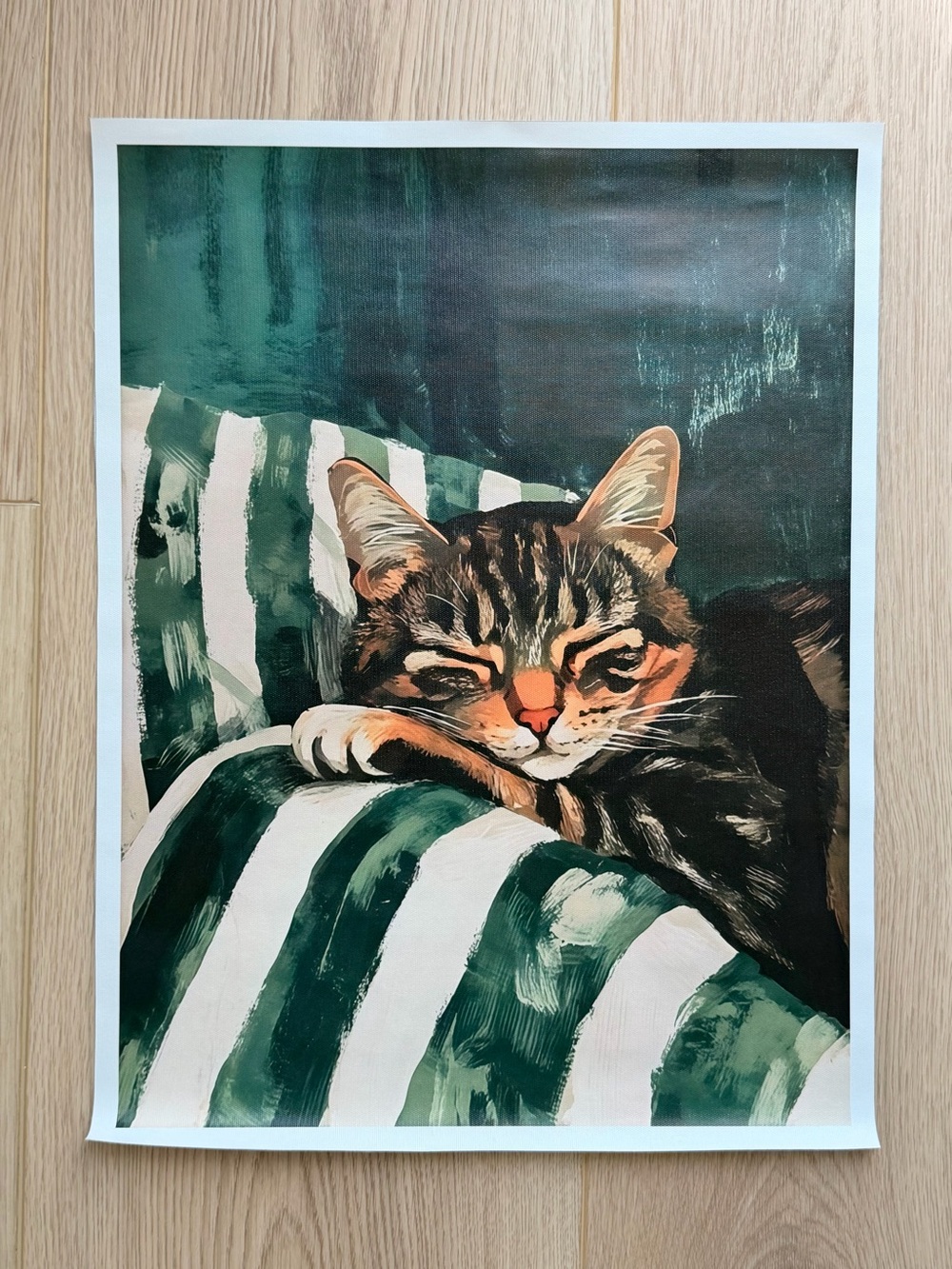 Cat Nap Canvas Art Print Poster